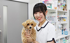 岡本 真白